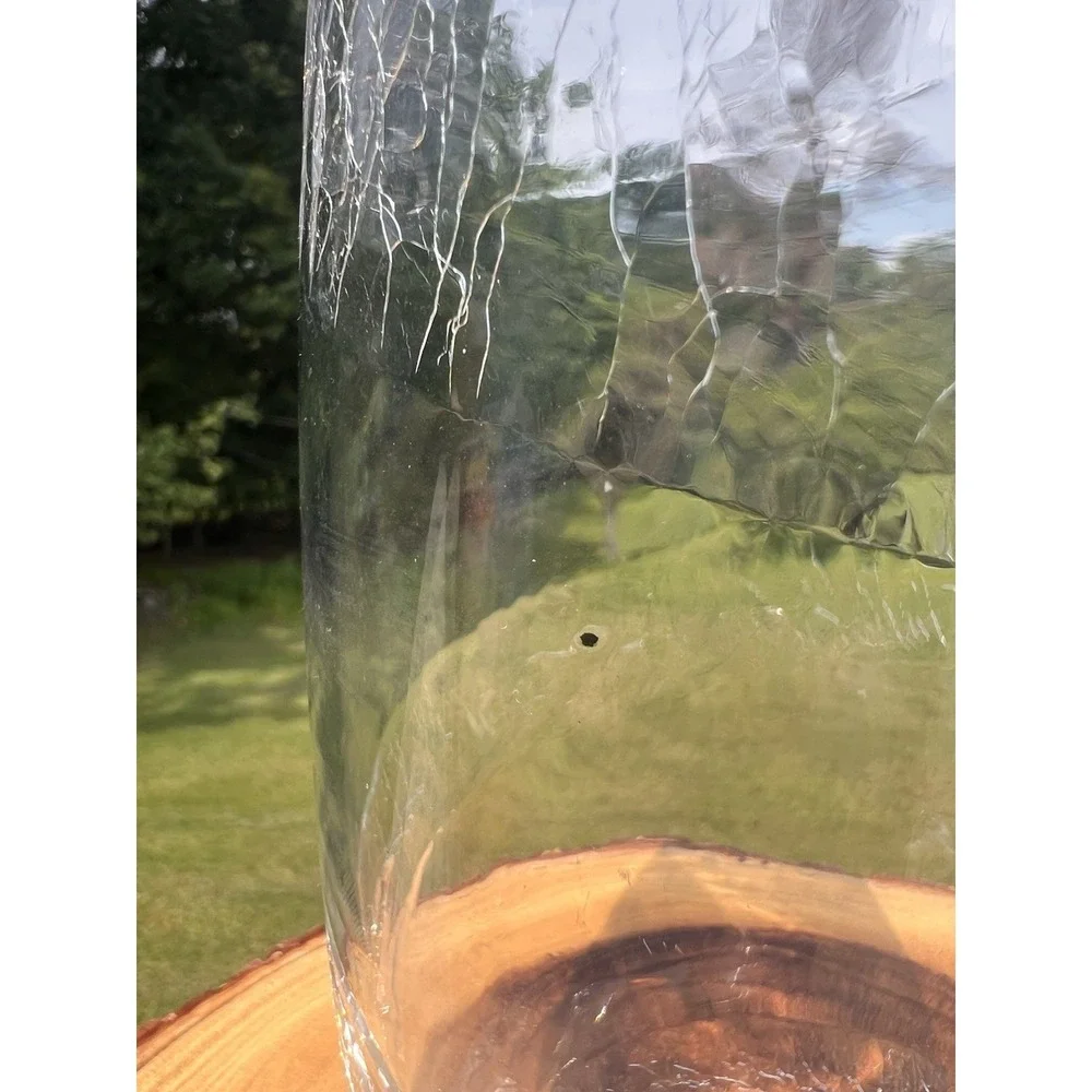 Clear Art Glass Vase 12